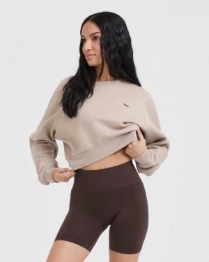 Oner Active Foundations Crop Sweatshirts Hellbraun | CFMKBIA-53