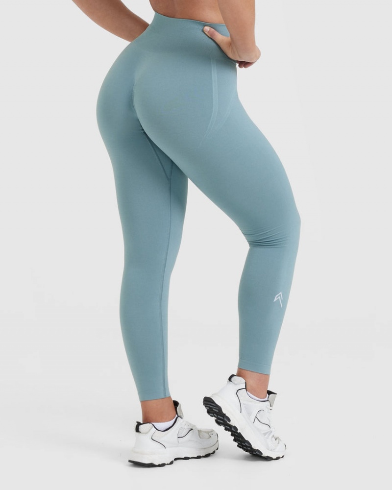 Oner Active Effortless Seamless Leggings Grau Blau | UBTEGAJ-64