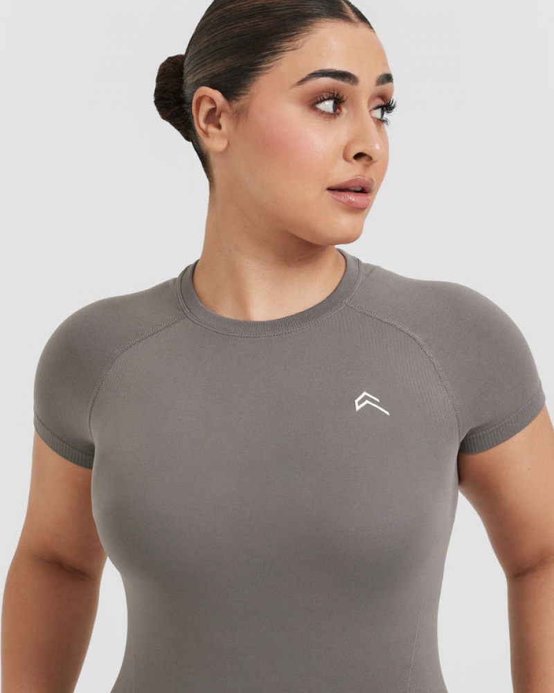 Oner Active Go To Seamless Fitted T-shirts Grau | JVRFTWU-43